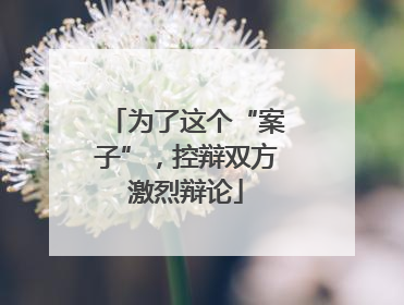 为了这个“案子”，控辩双方激烈辩论