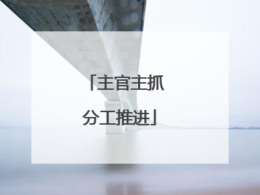 主官主抓 分工推进