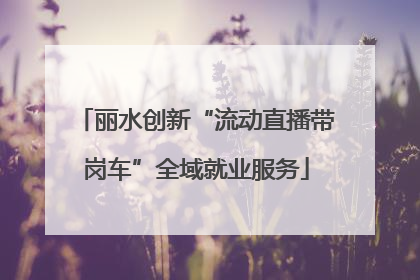丽水创新“流动直播带岗车”全域就业服务