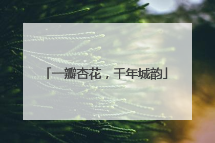 一瓣杏花，千年城韵