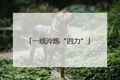 一线淬炼“四力”