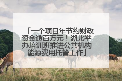一个项目年节约财政资金逾百万元！湖北举办培训班推进公共机构能源费用托管工作