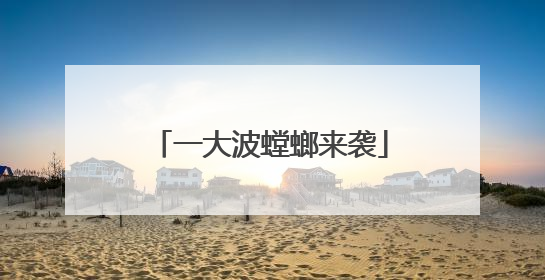 一大波螳螂来袭