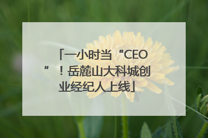 一小时当“CEO”！岳麓山大科城创业经纪人上线