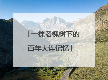 一棵老槐树下的百年大连记忆