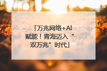 万兆网络+AI赋能！青海迈入“双万兆”时代