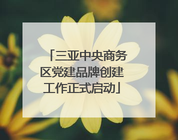 三亚中央商务区党建品牌创建工作正式启动