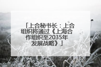 上合秘书长：上合组织将通过《上海合作组织至2035年发展战略》