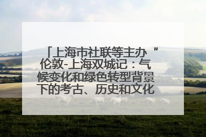 上海市社联等主办“伦敦-上海双城记：气候变化和绿色转型背景下的考古、历史和文化遗产”学术对话