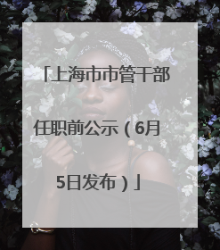 上海市市管干部任职前公示（6月5日发布）
