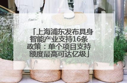 上海浦东发布具身智能产业支持16条政策：单个项目支持额度最高可达亿级