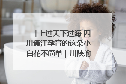 上过天下过海 四川通江孕育的这朵小白花不简单｜川陕渝网络名人巴中行