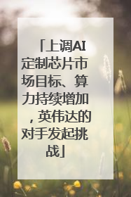 上调AI定制芯片市场目标、算力持续增加，英伟达的对手发起挑战