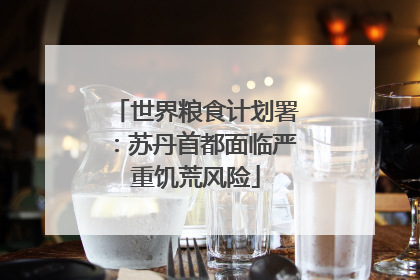 世界粮食计划署：苏丹首都面临严重饥荒风险
