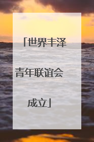 世界丰泽青年联谊会成立