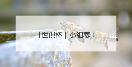 世俱杯｜小组赛：阿根廷博卡青年战平葡萄牙本菲卡