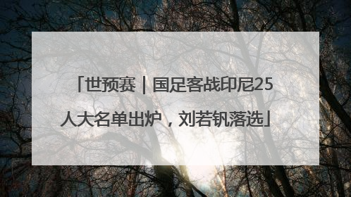 世预赛｜国足客战印尼25人大名单出炉，刘若钒落选