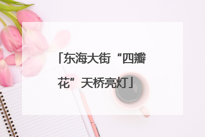 东海大街“四瓣花”天桥亮灯