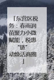 东营区税务：春雨润苗聚力小微赋能，税惠 “链” 动焕活商圈
