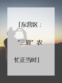 东营区：“三夏”农忙正当时