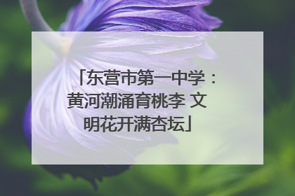 东营市第一中学：黄河潮涌育桃李 文明花开满杏坛