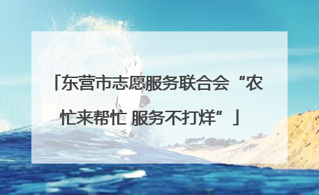 东营市志愿服务联合会“农忙来帮忙 服务不打烊”