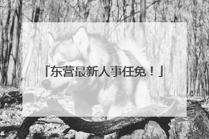 东营最新人事任免！
