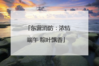 东营消防：浓情端午 粽叶飘香