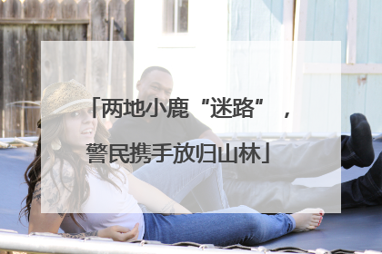 两地小鹿“迷路”，警民携手放归山林