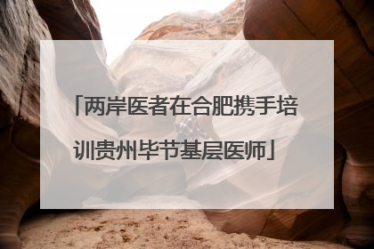 两岸医者在合肥携手培训贵州毕节基层医师