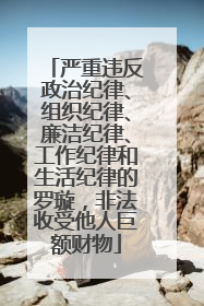 严重违反政治纪律、组织纪律、廉洁纪律、工作纪律和生活纪律的罗璇，非法收受他人巨额财物