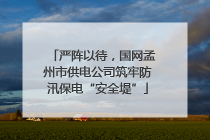 严阵以待，国网孟州市供电公司筑牢防汛保电“安全堤”