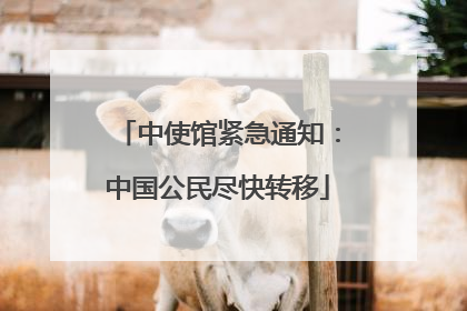 中使馆紧急通知：中国公民尽快转移