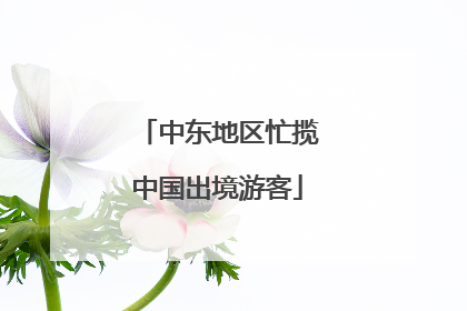 中东地区忙揽中国出境游客