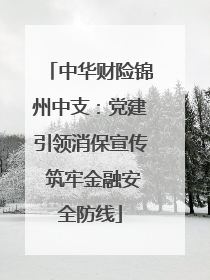 中华财险锦州中支：党建引领消保宣传 筑牢金融安全防线