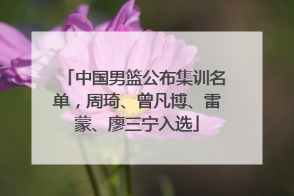 中国男篮公布集训名单，周琦、曾凡博、雷蒙、廖三宁入选