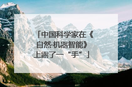 中国科学家在《自然·机器智能》上露了一“手”