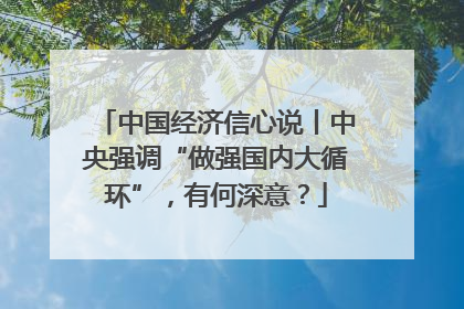 中国经济信心说丨中央强调“做强国内大循环”，有何深意？