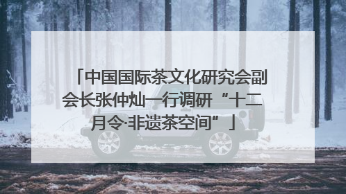 中国国际茶文化研究会副会长张仲灿一行调研“十二月令·非遗茶空间”