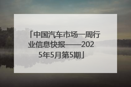 中国汽车市场一周行业信息快报——2025年5月第5期