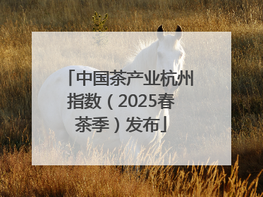 中国茶产业杭州指数（2025春茶季）发布