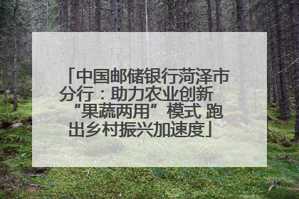 中国邮储银行菏泽市分行：助力农业创新 “果蔬两用”模式 跑出乡村振兴加速度