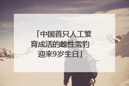 中国首只人工繁育成活的雌性雪豹迎来9岁生日
