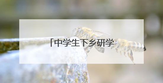 中学生下乡研学5天，在实践中拓宽视野锻炼能力