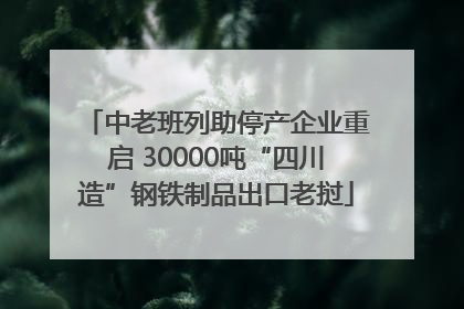 中老班列助停产企业重启 30000吨“四川造”钢铁制品出口老挝