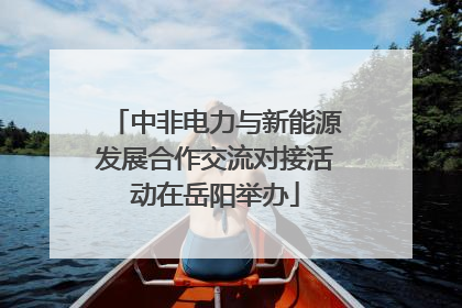 中非电力与新能源发展合作交流对接活动在岳阳举办
