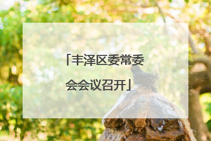 丰泽区委常委会会议召开