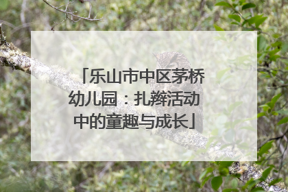 乐山市中区茅桥幼儿园：扎辫活动中的童趣与成长