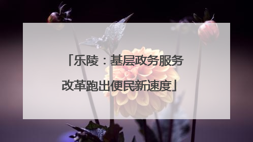 乐陵：基层政务服务改革跑出便民新速度