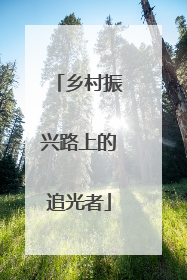 乡村振兴路上的追光者